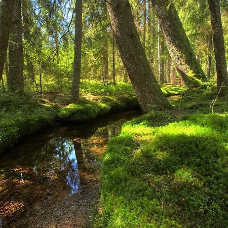 Wohnpark Schwarzwaldblick Apartamento
