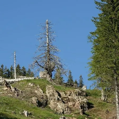 Wohnpark Schwarzwaldblick Apartamento *